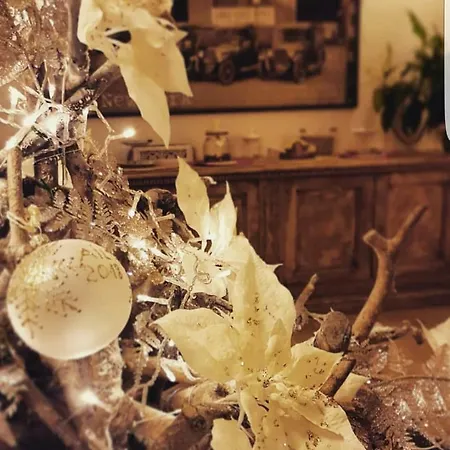 Like At Bed & Breakfast 3*