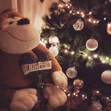 Bed & Breakfast Like At 3*